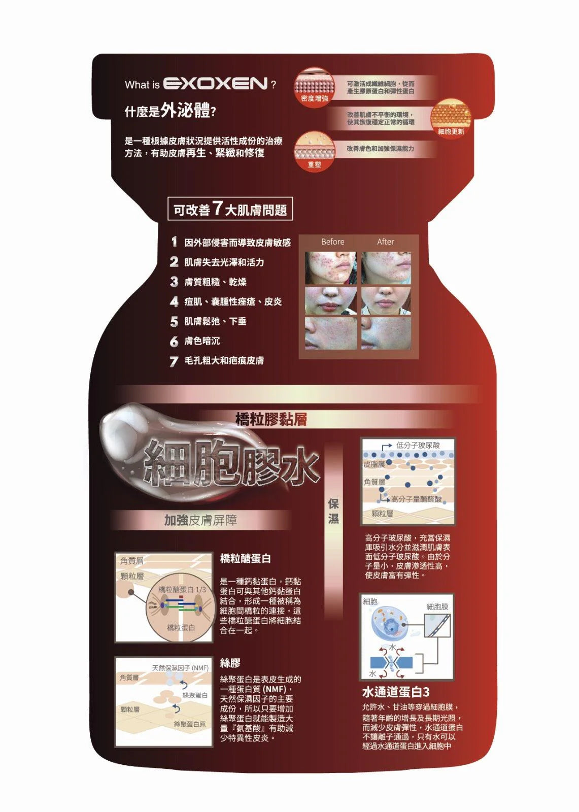 包順豐 EXOXEN 外泌體EXOXEN SKIN BOOSTER 3ml EXOXEN
SKIN RESET BOOSTER
HIGH CONCENTRATION
