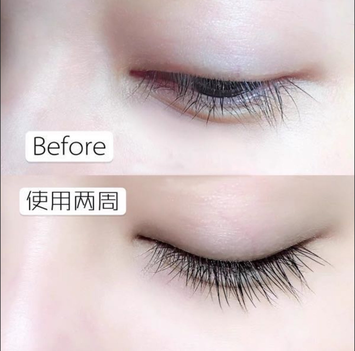 包順豐 法國 talika 豐盈捲曲睫毛增長滋潤液 睫毛滋養液10ml LIPOCILS EXPERT Eyelash care and conditioning serum